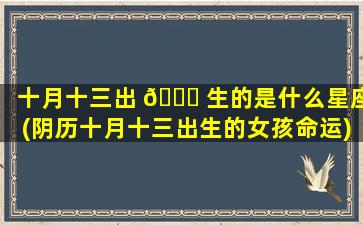 十月十三出 🐋 生的是什么星座(阴历十月十三出生的女孩命运)